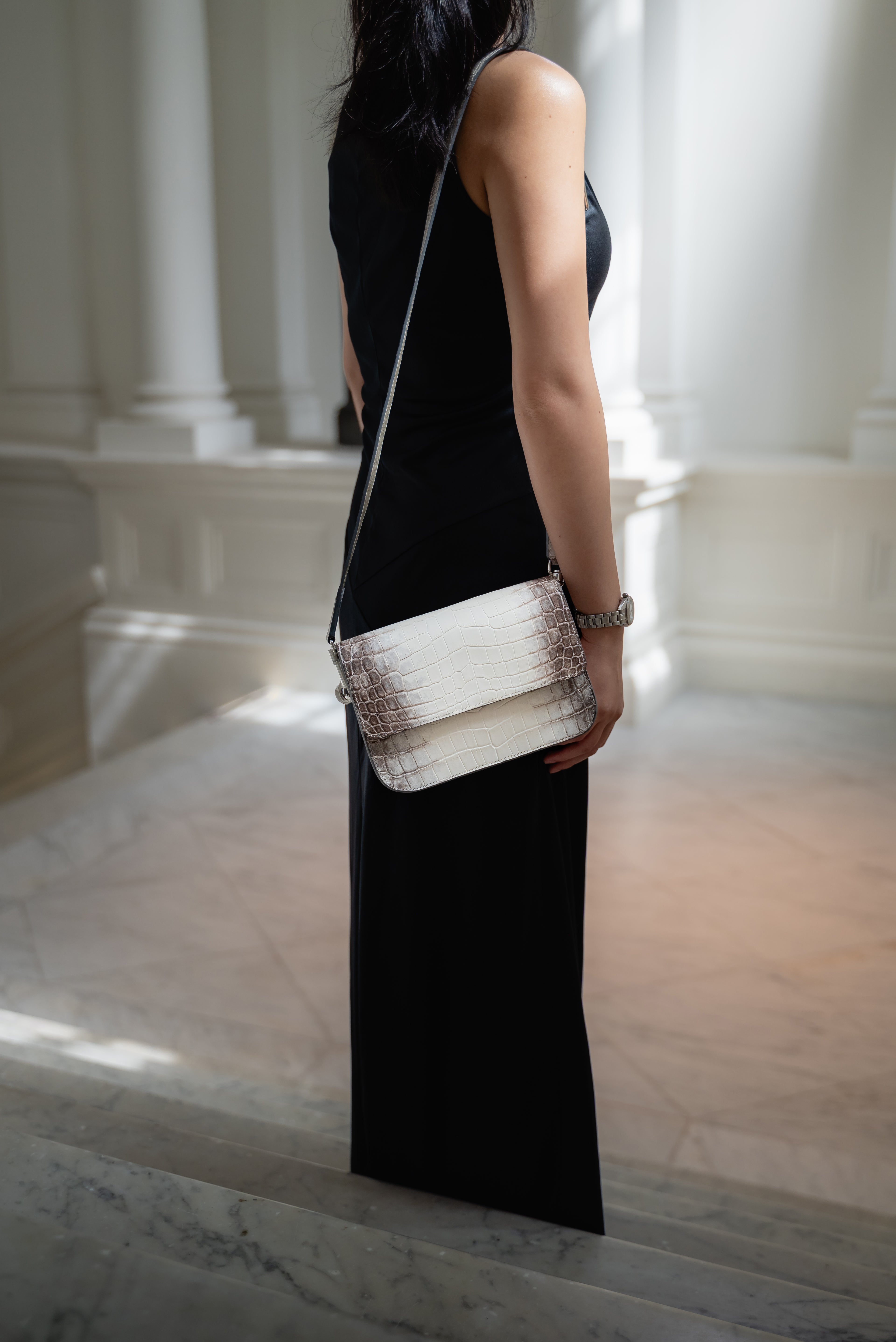 Himalyan crocodile handbag