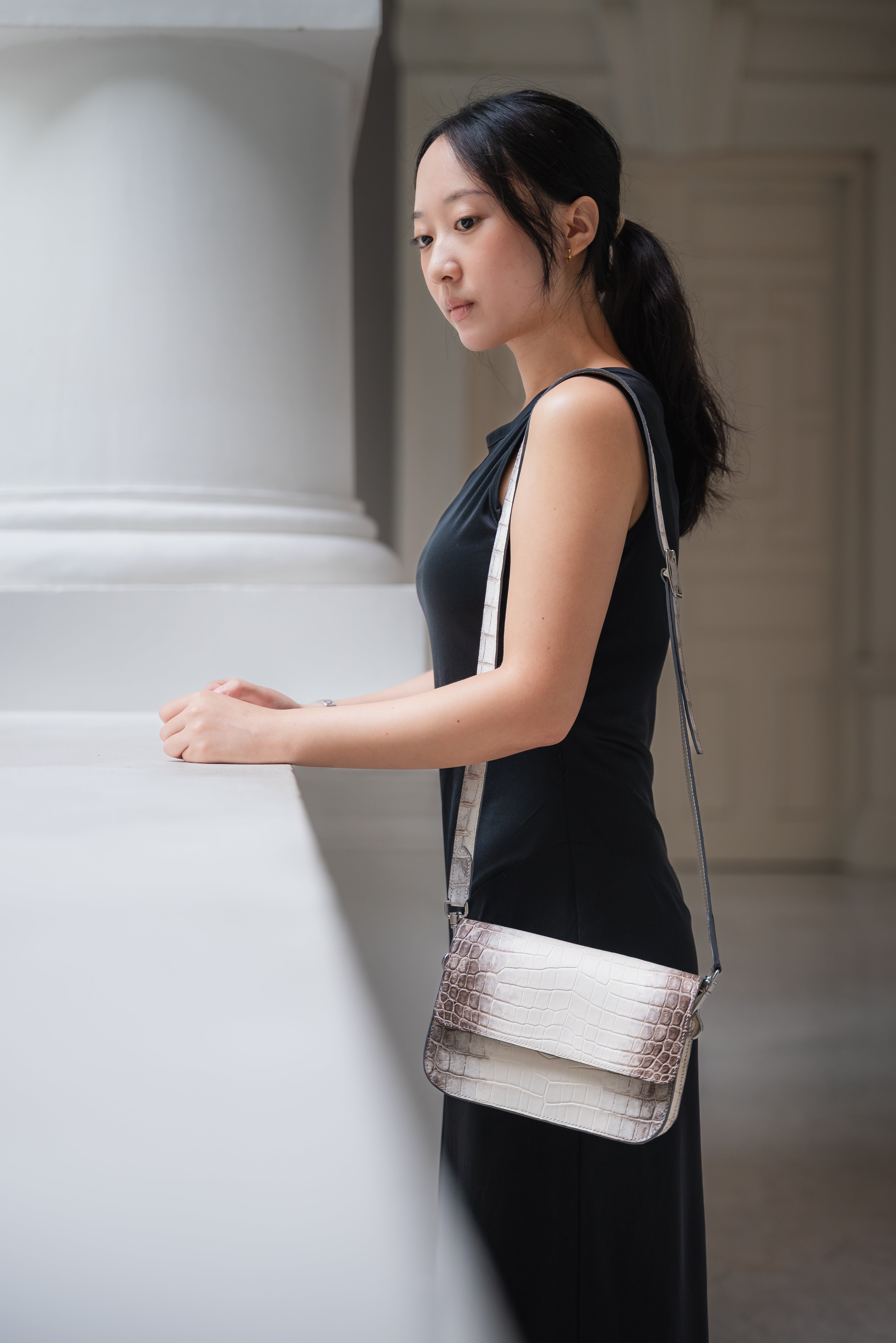 Himalyan crocodile handbag